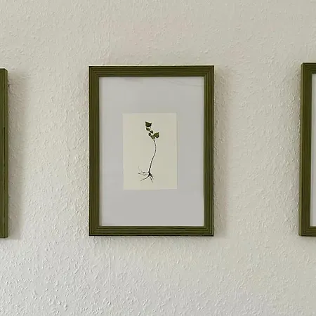 Gemuetliches * Gelsenkirchen