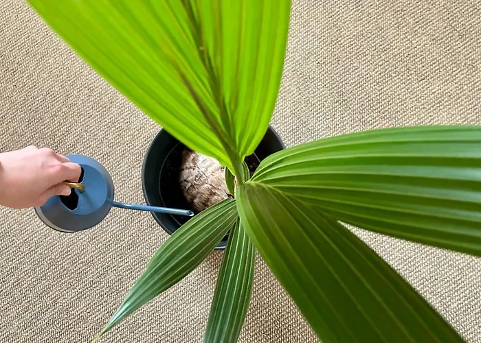 Apartmán Gemuetliches *